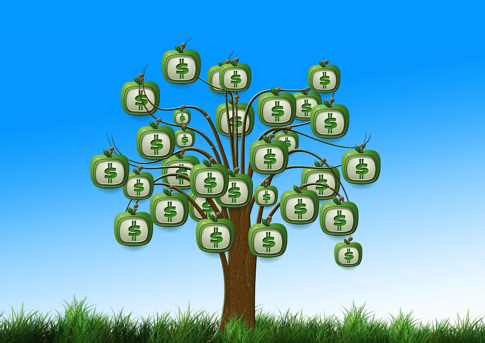money on a tree